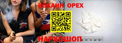 сатива Новозыбков