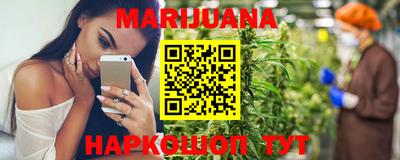 сатива Новозыбков