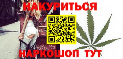 сатива Новозыбков