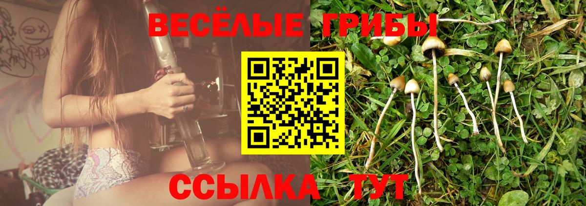 Серов  Галлюциногенные грибы мухоморы  Вход с VPN  Псилоцибиновые грибы Psilocybine cubensis 