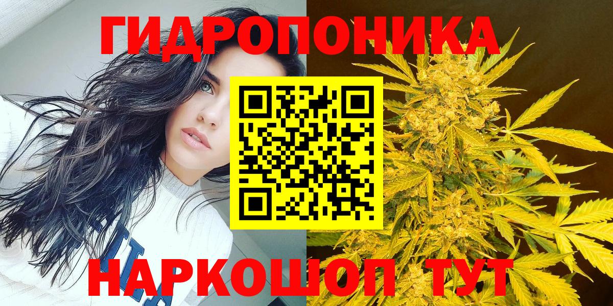 Бошки Шишки SATIVA & INDICA  Вход с VPN  Серов  Каннабис планчик 